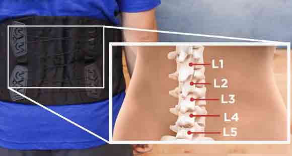 Ensure That Spinal Structures Are Not Compressed