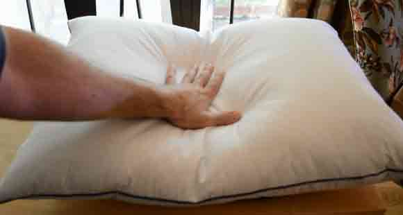 What’s Inside a Down Pillow